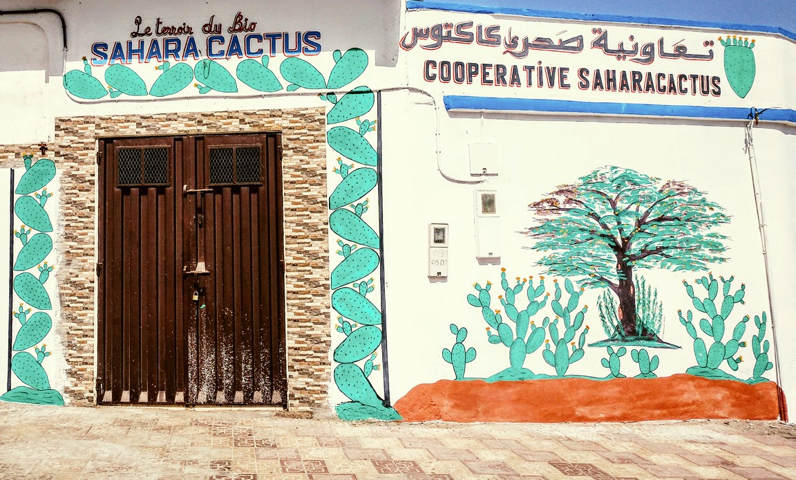 Cooperativa Sahara Cactus en Sidi Ifni