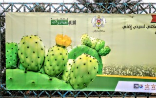 Cartel anunciante del Moussem Aknari en Sidi Ifni